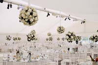 Oasis Events 1063527 Image 4
